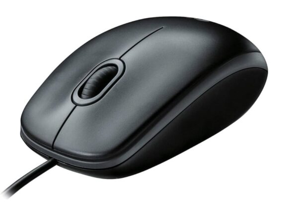 Mouse